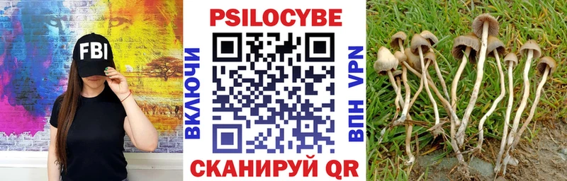 Псилоцибиновые грибы Psilocybine cubensis  Колпашево 